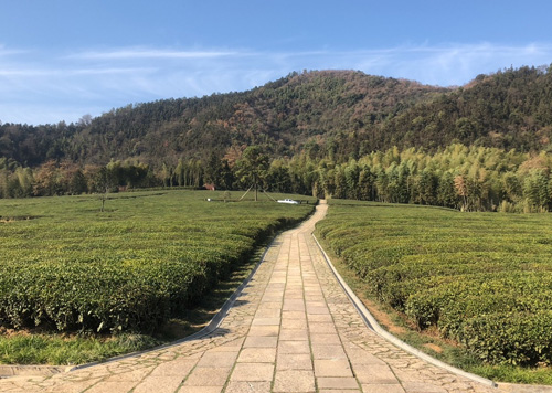 杭州实施全流程免费殡葬服务，惠及数万家家庭...