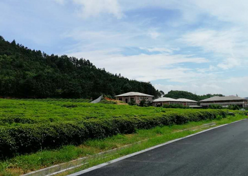 径山竹茶园•如意陵园是哪里的墓地