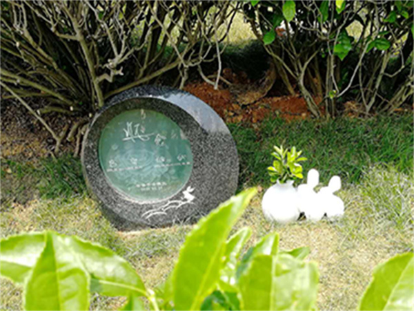 玉兔追月
