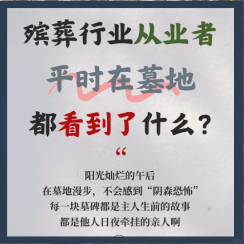 干殡葬的一天丨我在陵园里都看到了什么